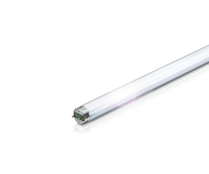 Rura wietlwkowa NBB Bohemia LT 10W T8/840, T8, G13