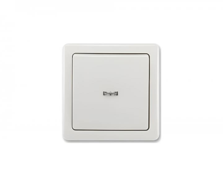 W��cznik dwubiegunowy kompletny ABB 3557G-C02342 S1, z okienkiem - jasnoszary